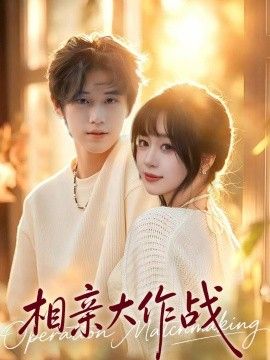 相亲大作战(全集)