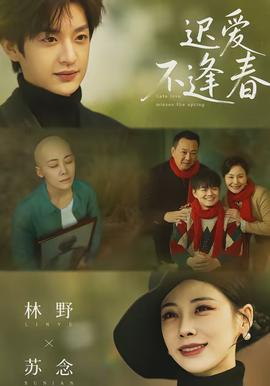 迟爱不逢春(全集)